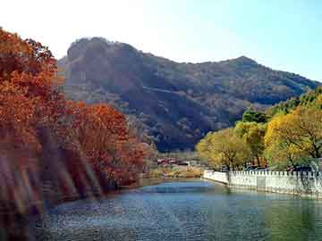 新澳天天彩免费资料大全查询，攀岩板